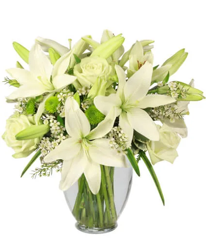 Simplicity Arrangement Simplicity Arrangement