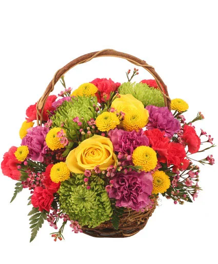 Colorfulness Bouquet Colorfulness Bouquet