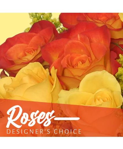 Beautiful Roses Designer's Choice
