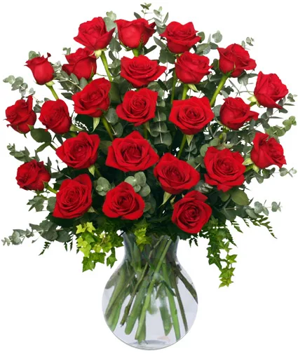 24 Radiant Roses Red Roses Arrangement 24 Radiant Roses Red Roses Arrangement