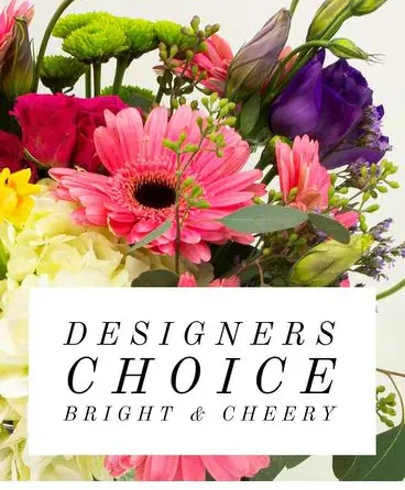 Designer's Choice Designer's Choice