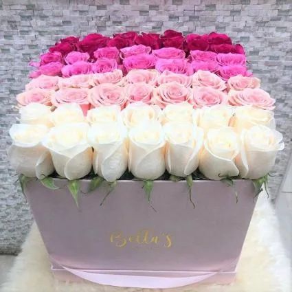OMBRE ROSE BOX 50-56 ROSES LARGE PINK SUADE BOX