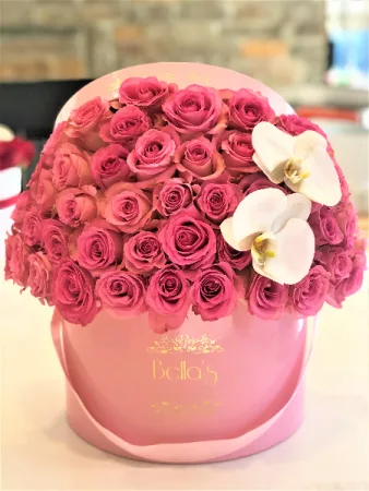 PINK-ON-PINK 50 ROSES & 2 ORCHIDS PINK-ON-PINK 50 ROSES & 2 ORCHIDS