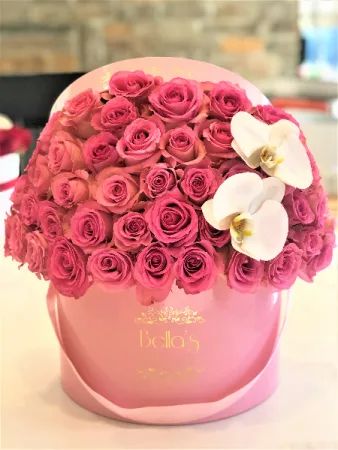 PINK-ON-PINK 50 ROSES & 2 ORCHIDS