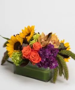 Radiant Centerpiece