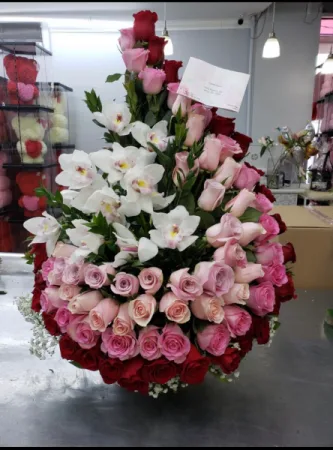 SPIRAL PINK SPIRAL PINK