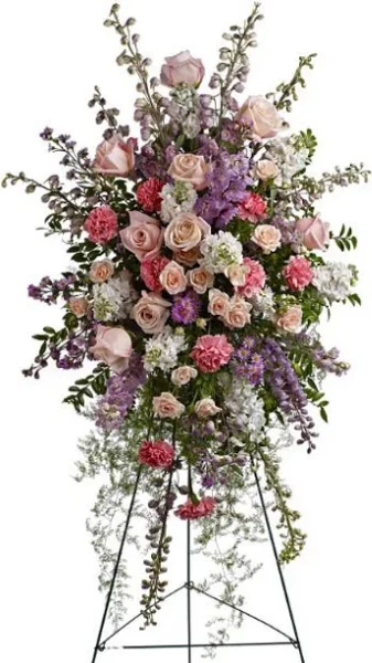 Delicate Sympathy Delicate Sympathy