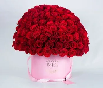 100 Rose Box 100 Rose Box