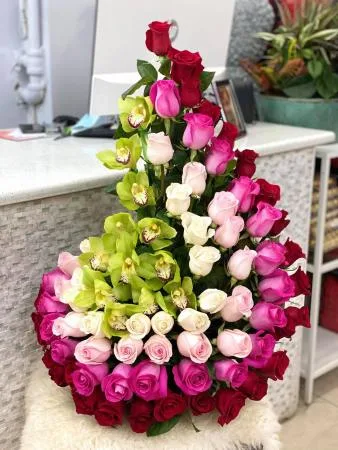 SPIRAL PINK SPIRAL PINK