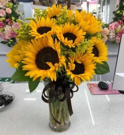 SUNNY FOR SUNFLOWERS