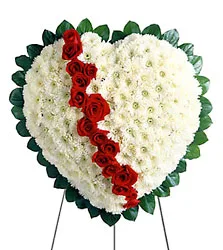 Bleeding Heart Bleeding Heart