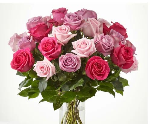 Pure Beauty Mixed Roses Pure Beauty Mixed Roses