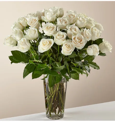36 Long stem White Roses 36 Long stem White Roses