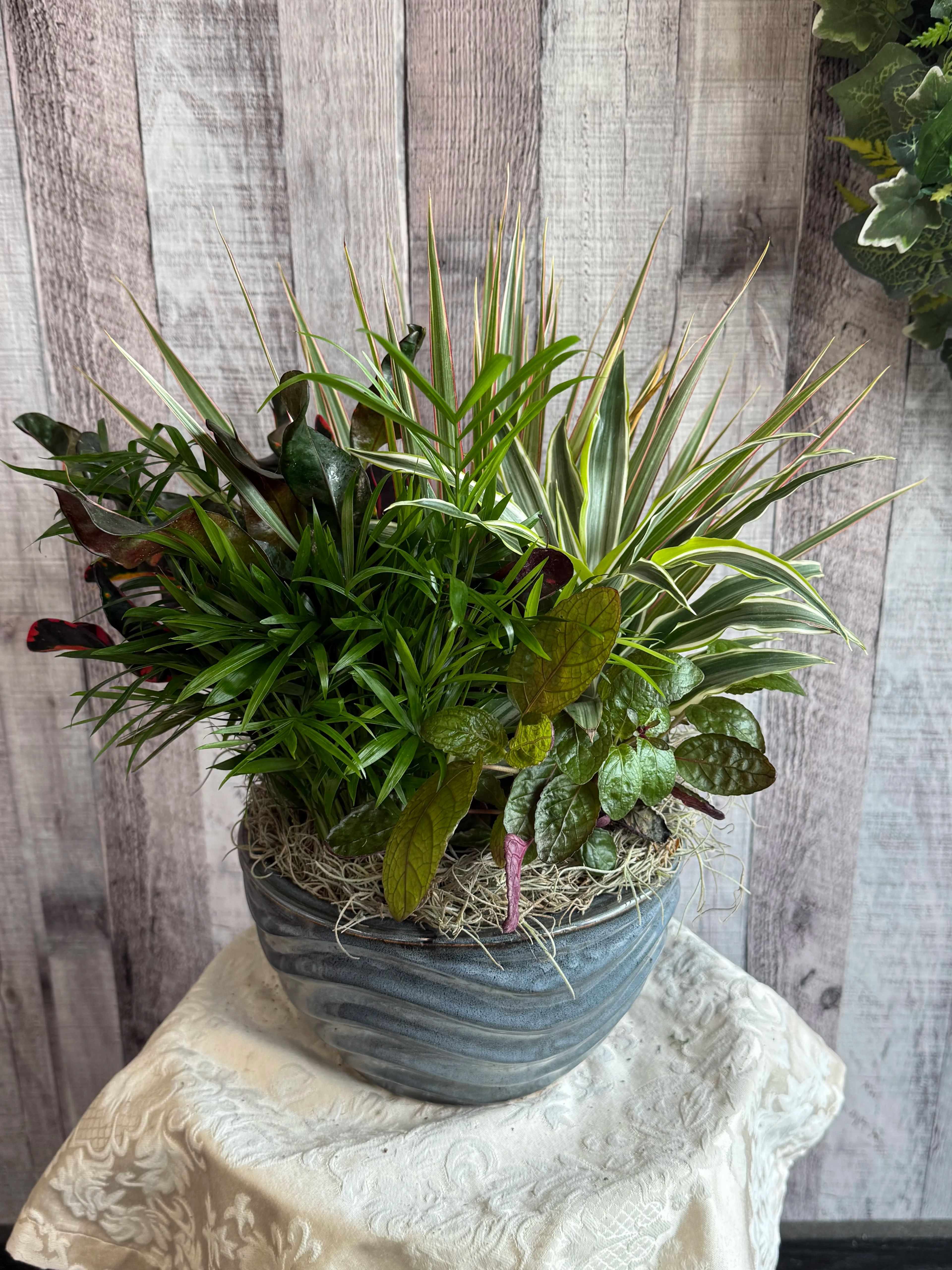 Ceramic Dishgarden 8"