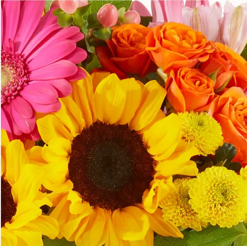 Designer’s Choice Bright and Vibrant Bouquet Designer’s Choice Bright and Vibrant Bouquet
