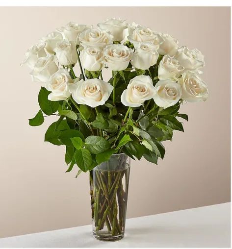 24 Long stem White Roses