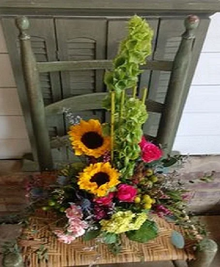 Vegetive Design - Contemporary, Custom Design Vegetive Design - Contemporary, Custom Design