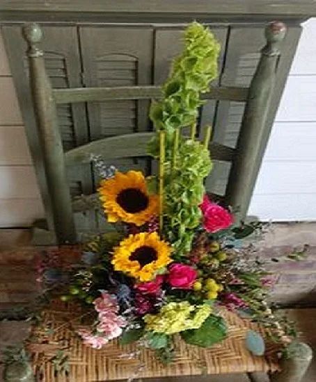 Vegetive Design - Contemporary, Custom Design