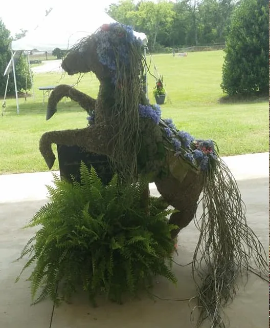 Moss Horse Highfields Center- Event Moss Horse Highfields Center- Event