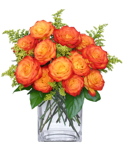 AMOR FUGAZ Arreglo de Rosas color Naranja AMOR FUGAZ Arreglo de Rosas color Naranja