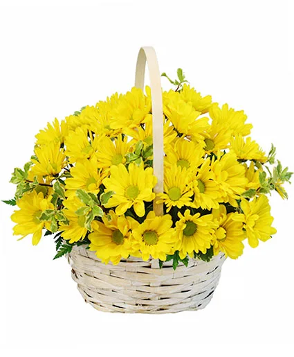 Delightful Smiles Basket of Daisies Delightful Smiles Basket of Daisies