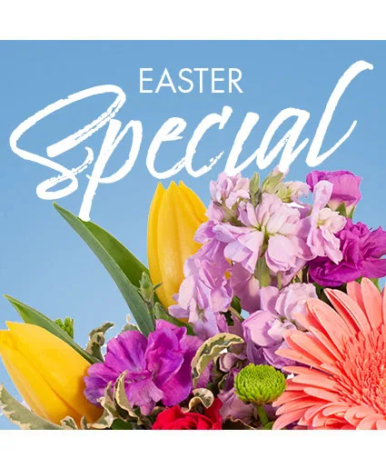 Easter Special Designer's Choice Easter Special Designer's Choice