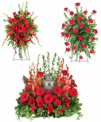 Scarlet Sentiments Sympathy Collection Scarlet Sentiments Sympathy Collection