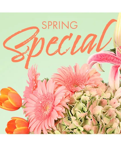 Special of Spring Florals Designer's Choice Special of Spring Florals Designer's Choice