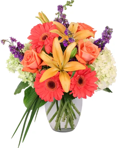Aurora Bouquet Aurora Bouquet