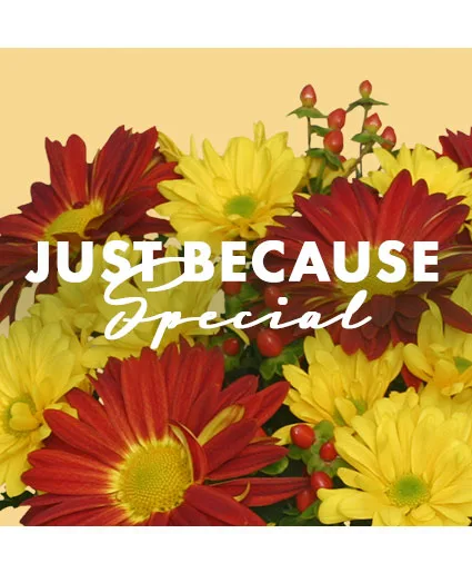 Just Because Special Designer's Choice Just Because Special Designer's Choice