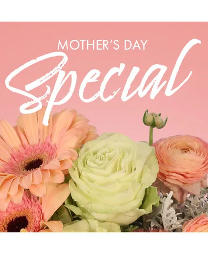 Mother's Day Special Designer's Choice Mother's Day Special Designer's Choice