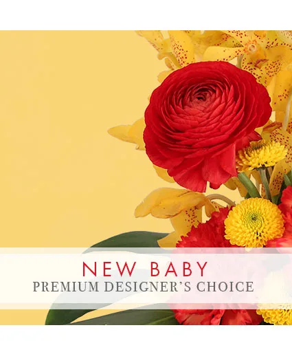 Precious New Baby Premium Designer's Choice Precious New Baby Premium Designer's Choice