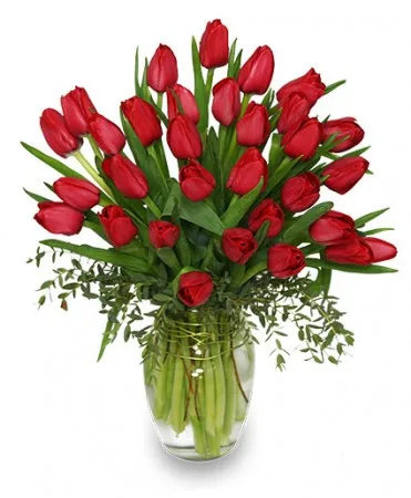 CHERRY RED TULIPS Bouquet CHERRY RED TULIPS Bouquet