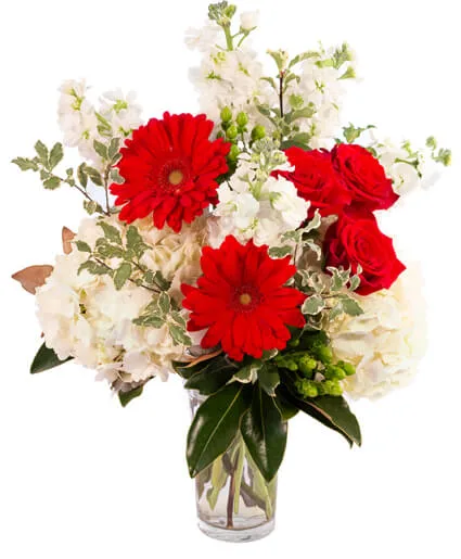 Red Frost Floral Arrangement Red Frost Floral Arrangement