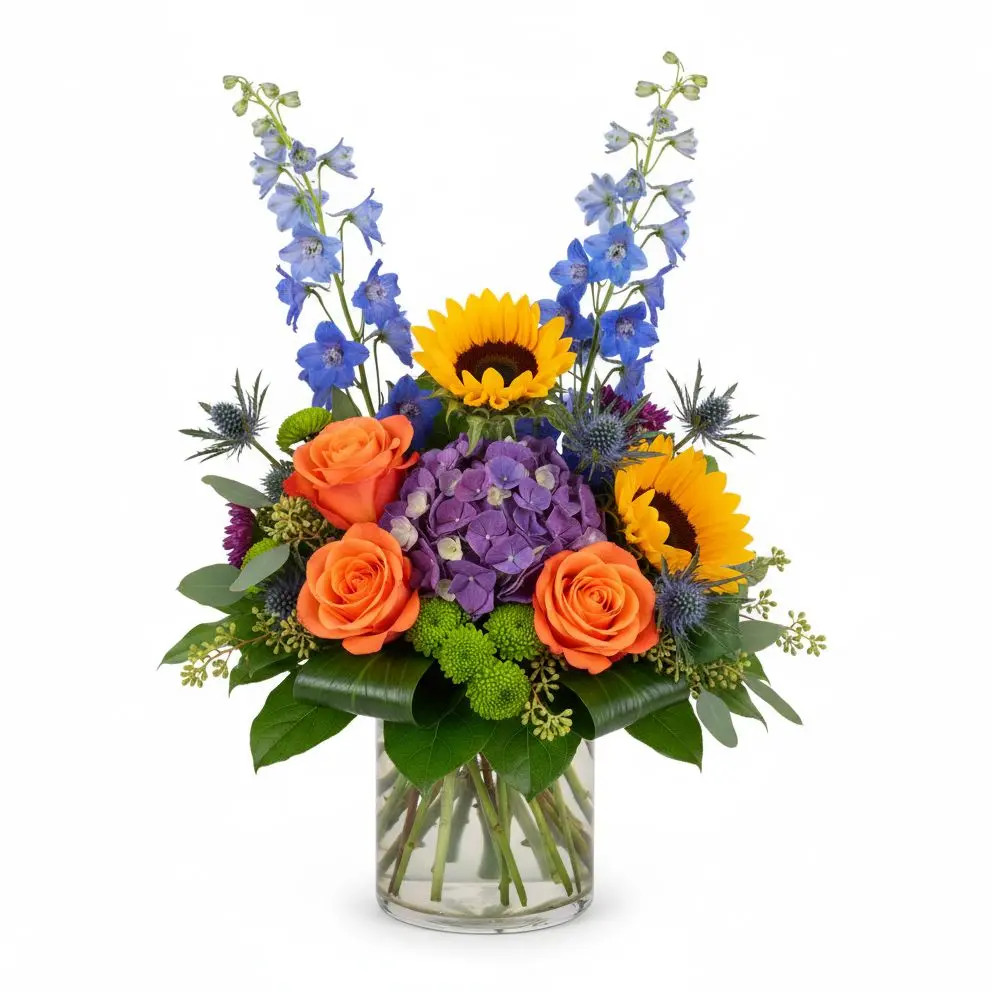 Blue Sky & Sunshine Blue Sky & Sunshine