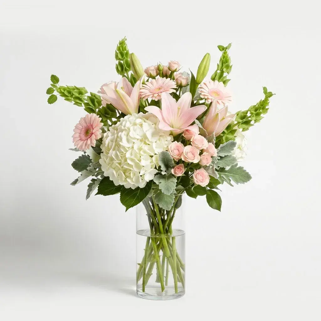 Soft Petal Serenade Soft Petal Serenade