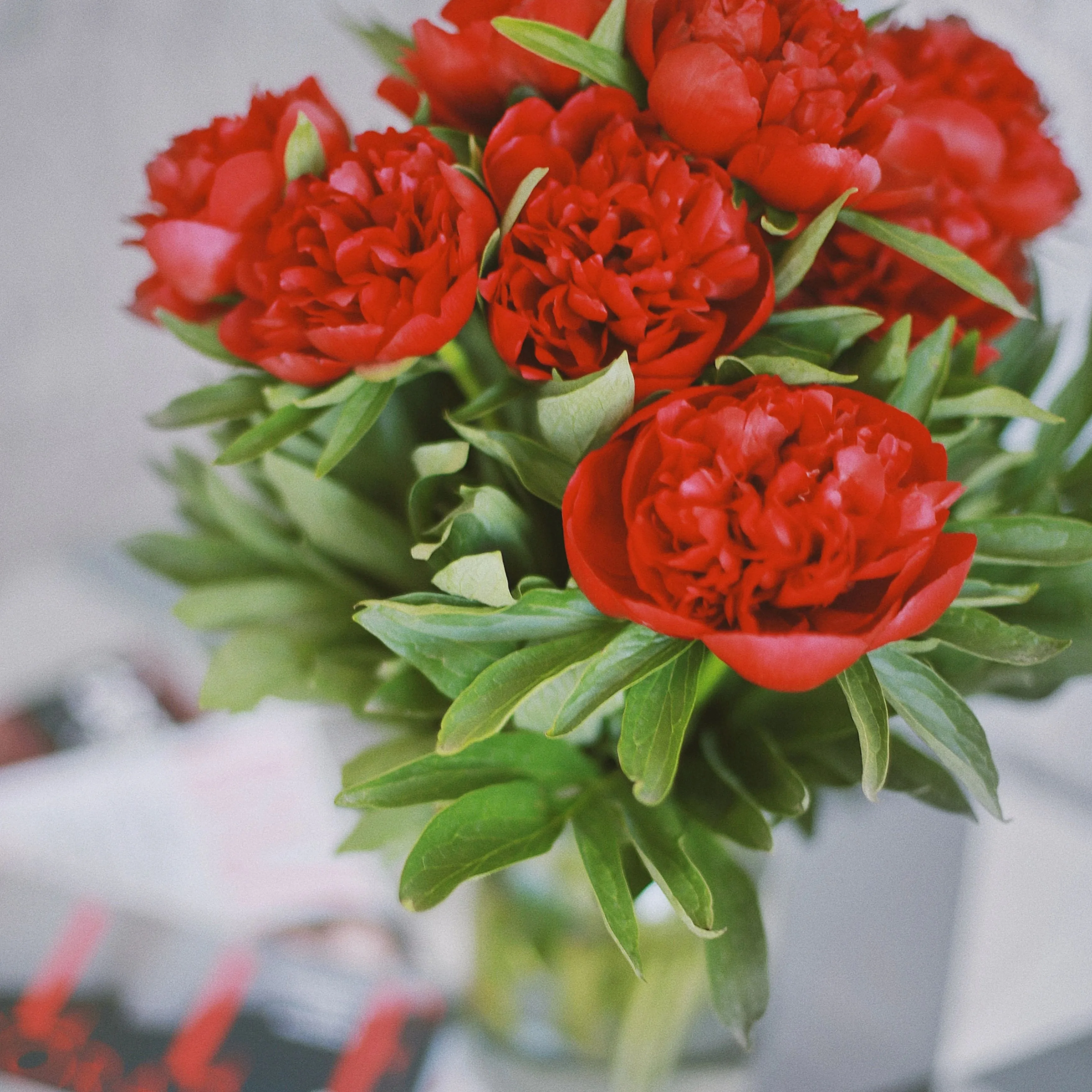 Flower shop image Flower shop image