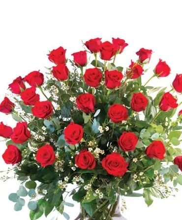24 ROSES