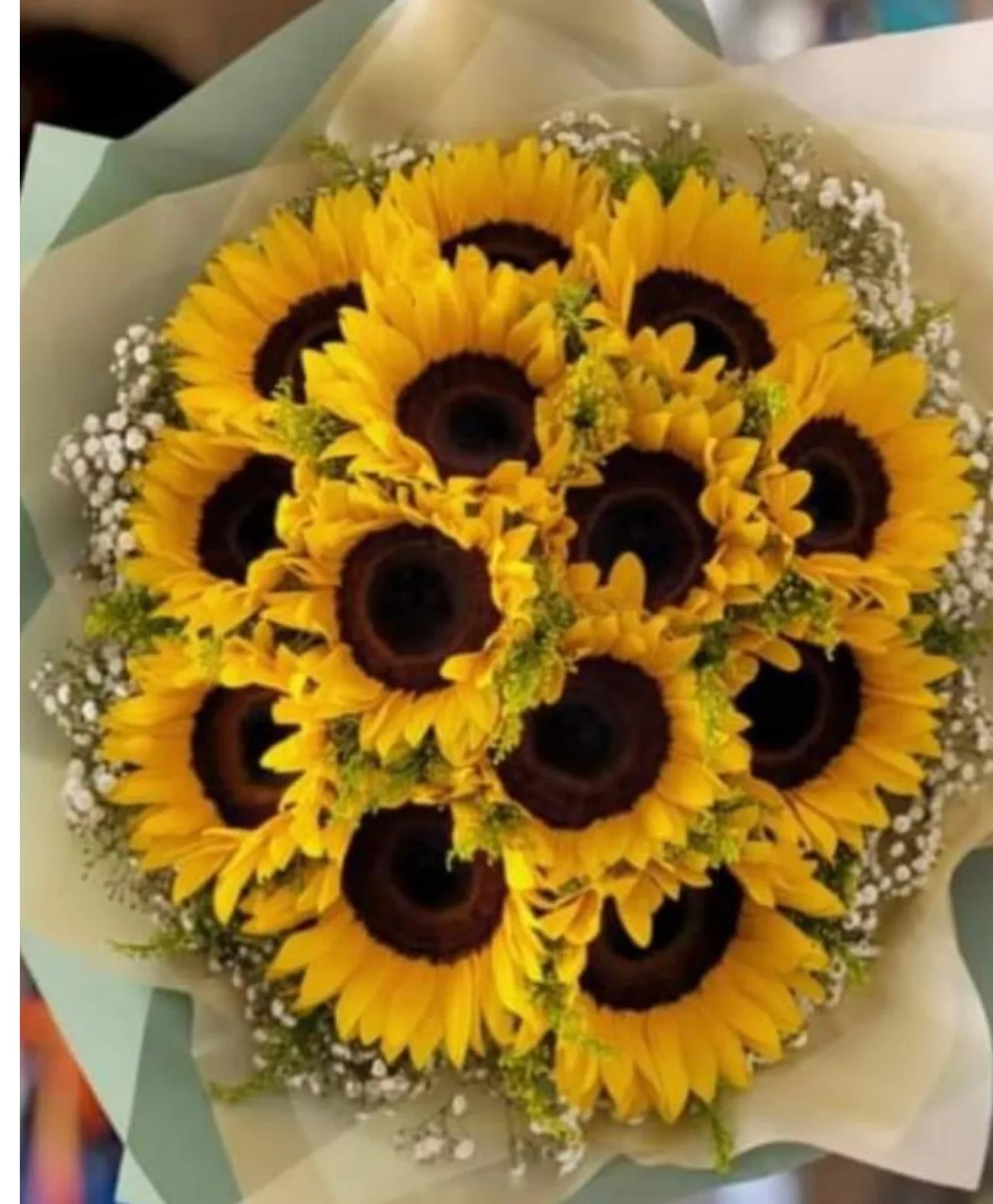 SUN FLOWERS SUN FLOWERS