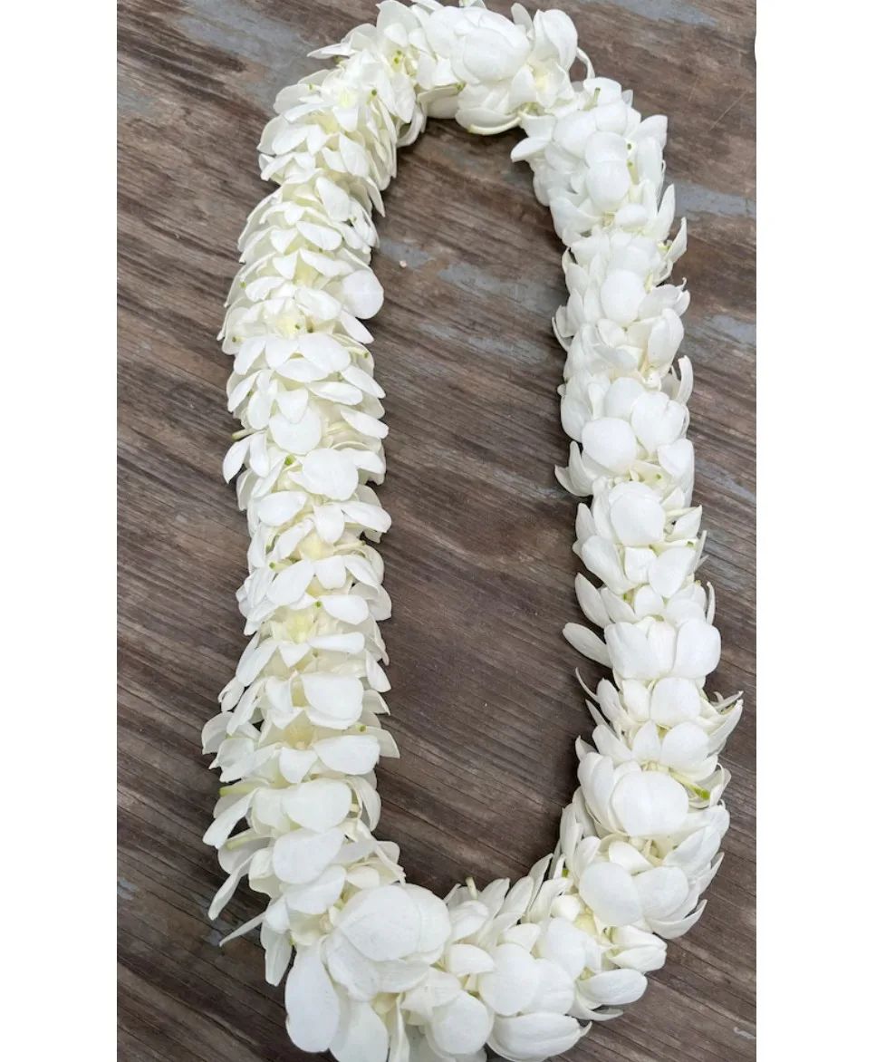 Orchid Lei white
