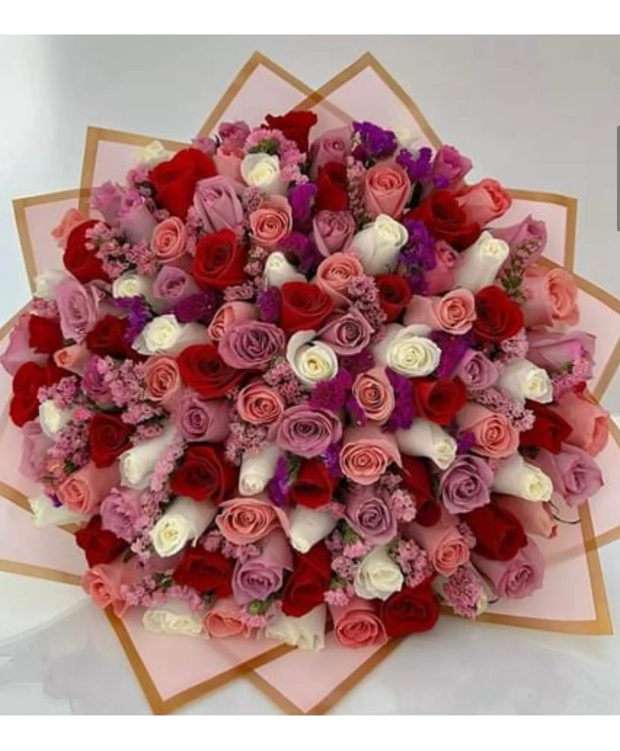 100 ROSES MULTI 100 ROSES MULTI