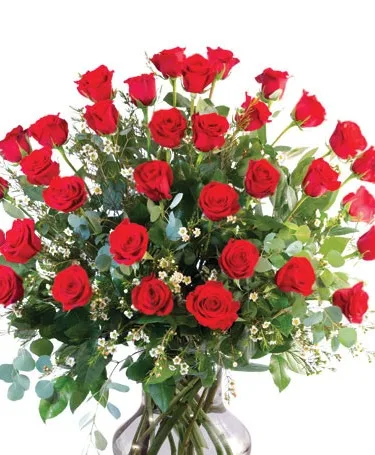 36 ROSES 36 ROSES