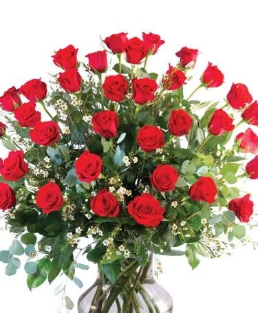 36 ROSES