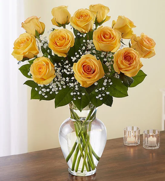 Dozen Classic Yellow Rose Vase Arrangement Dozen Classic Yellow Rose Vase Arrangement