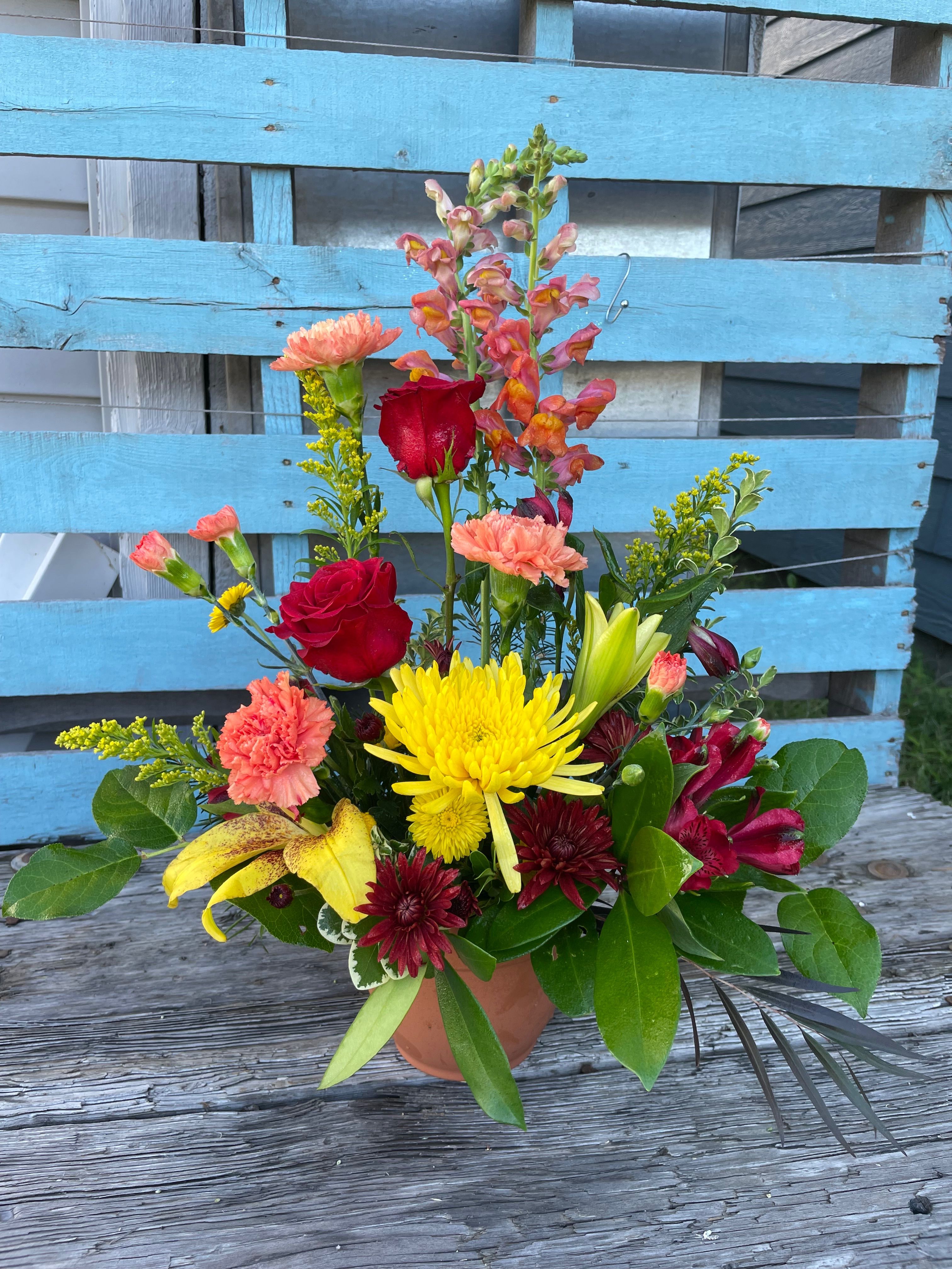 Red orange and yellow sympathy