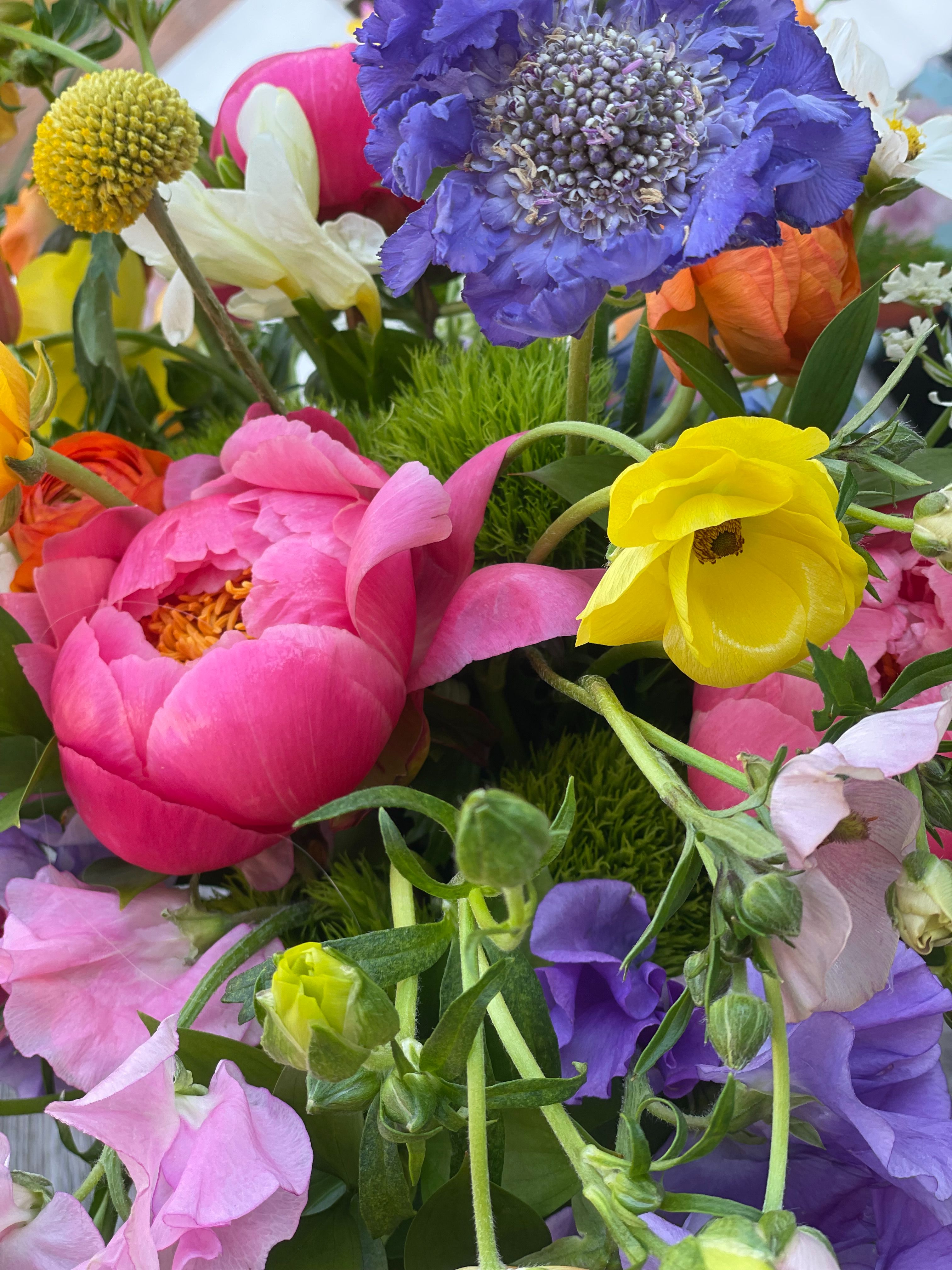 Featured flowers Featured flowers