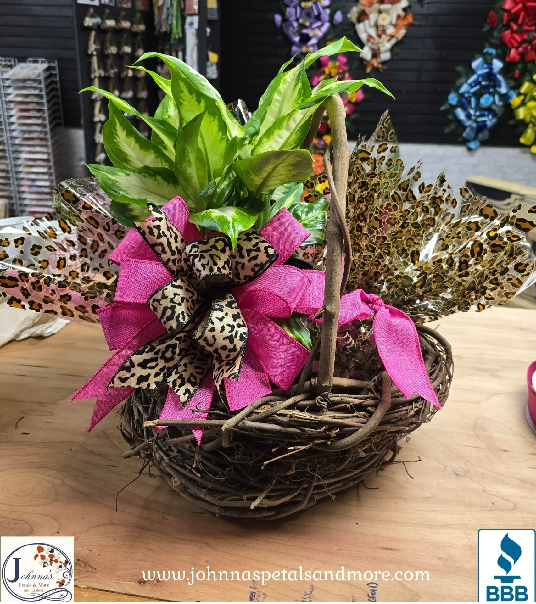 Leopard Plant with Gift Basket Leopard Plant with Gift Basket
