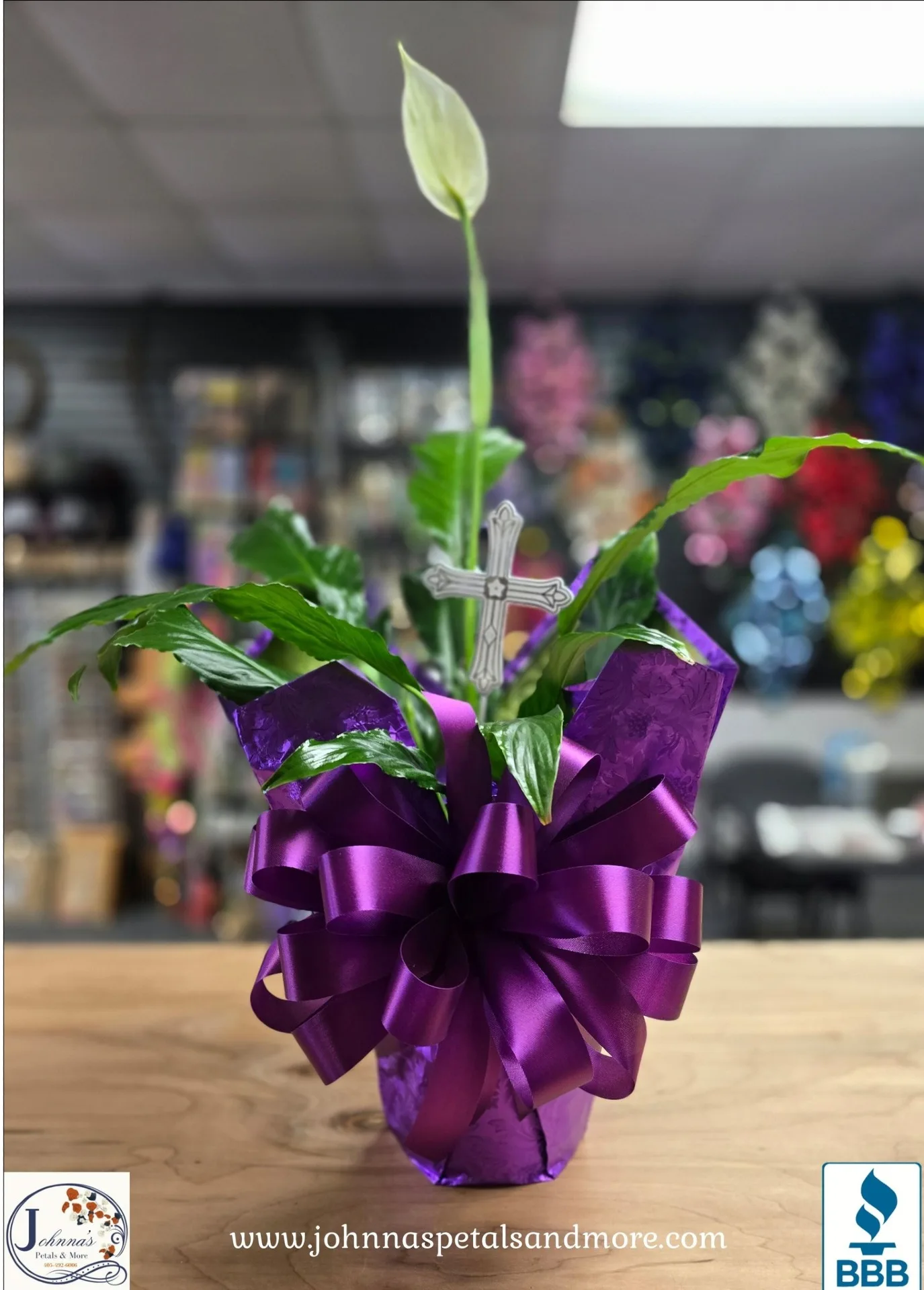 Peace Lily Green Plant Peace Lily Green Plant
