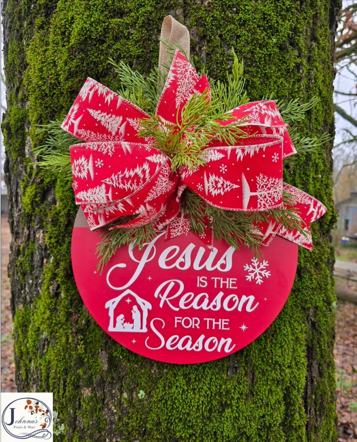 Jesus Is The Reason Door Hanger