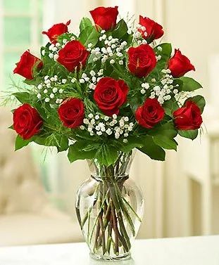 1 DOZEN LONG STEM RED ROSES
